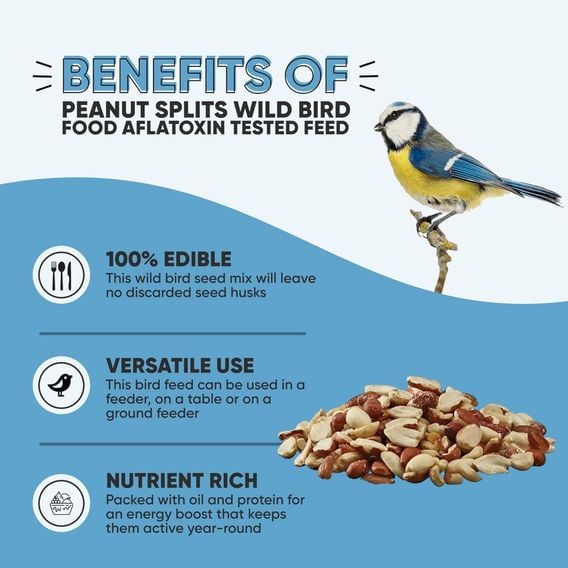 Happy Beaks - Peanut Splits
